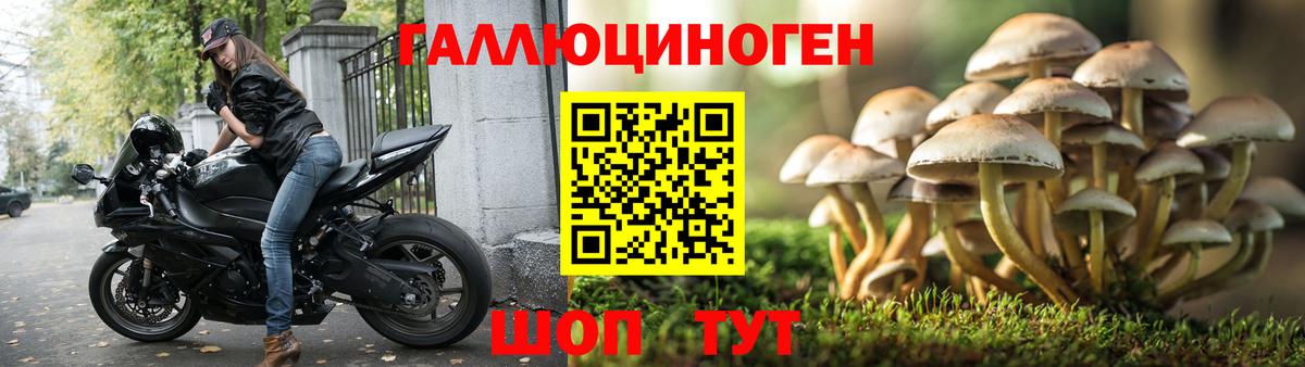 наркошоп  Псилоцибиновые грибы прущие грибы  Вход с VPN  Канск 